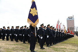 ���h�c���h�|���v���@���