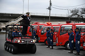 ���h�c���h�|���v���@���