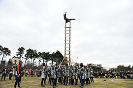 ���h�c���h�|���v���@���