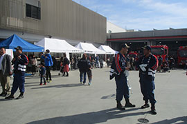 ���h�c���h�|���v���@���