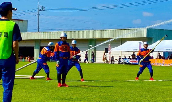 ���h�c���h�|���v���@���