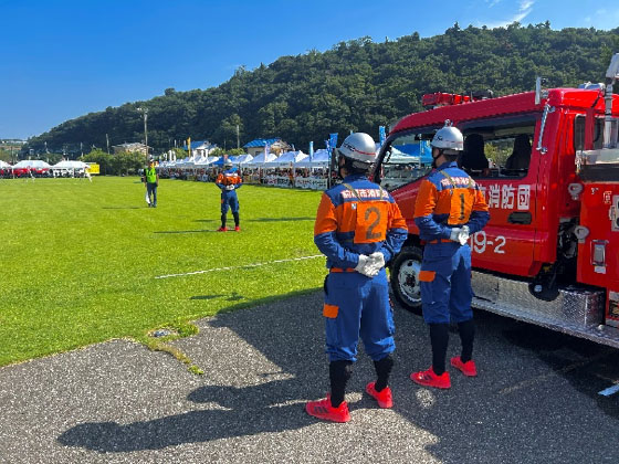 ���h�c���h�|���v���@���