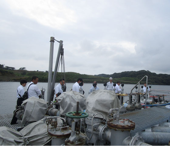 ���h�c���h�|���v���@���