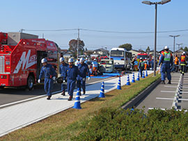 ���h�c���h�|���v���@���