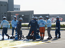 ���h�c���h�|���v���@���