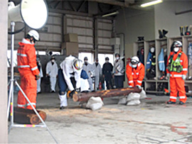 4���ʐ��h�P��