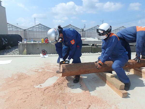 4���ʐ��h�P��