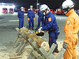 5���ʐ��h�P��