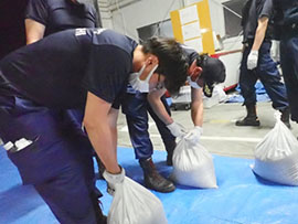 5���ʐ��h�P��