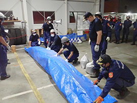 5���ʐ��h�P��