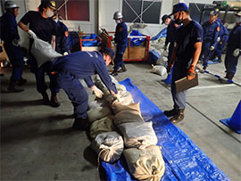 5���ʐ��h�P��