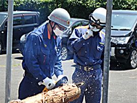 6���ʐ��h�P��