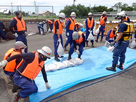 6���ʐ��h�P��