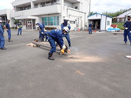 6���ʐ��h�P��