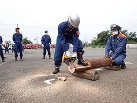 6���ʐ��h�P��